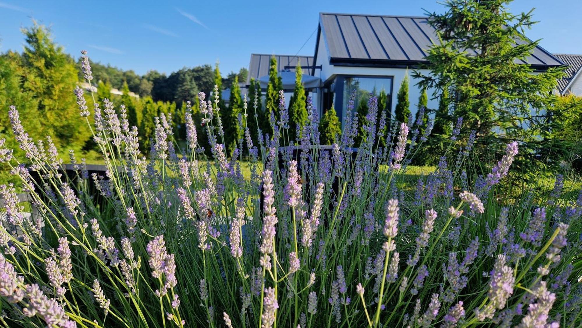 5 Zmyslow Akademia Wypoczynku Domki Bed and Breakfast Grzybowo  Buitenkant foto